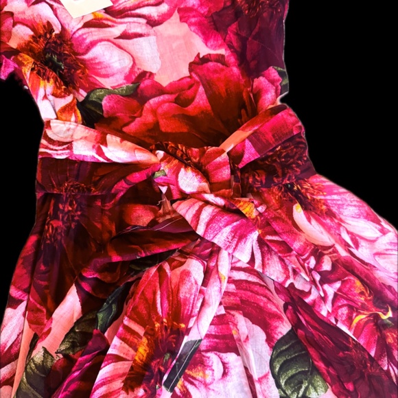 BNWT Samantha Sung Anna Giant Pink Poppies Dress Sz 4 - Picture 3 of 4